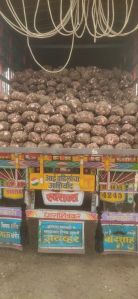 Fresh Elephant Yam