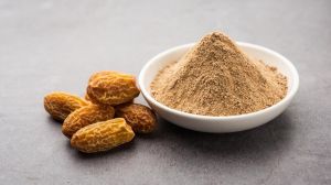 Dehydrated Date Seed Coffee Powders