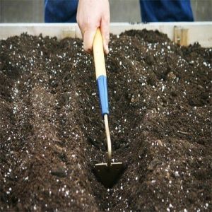 Organic Vermicompost Fertilizer