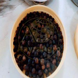Black Pepper Seeds