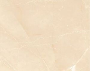Digital Vitrified Floor Tile