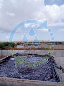 Stp Maintenance Services