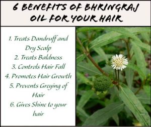 Bhringraj Hair Herbal Shampoo