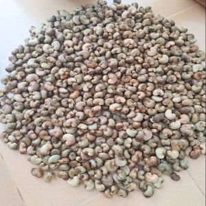 Cashew Nuts