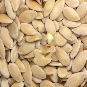 Hybrid Cucumber Seeds