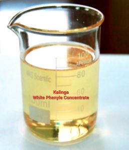 Mogra Phenyle Concentrate