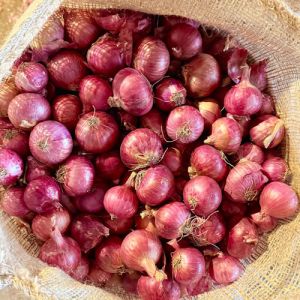 Fresh Red Onion