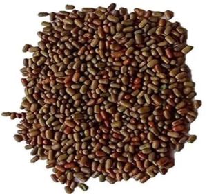 Sesbania Seed