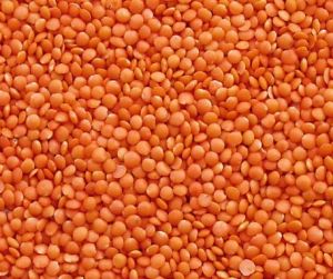 Masoor Dal