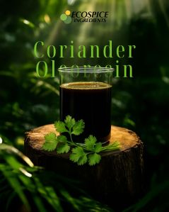 Coriander Oleoresin
