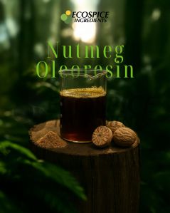 Nutmeg Oleoresin