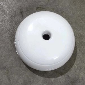 White Ceiling Rose