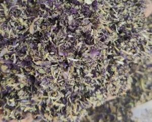 Blue Pea Tbc