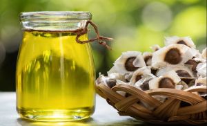 Moringa Seed Oil