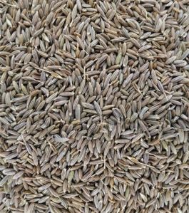 Cumin Seeds