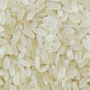 Short Grain Non-Basmati Rice