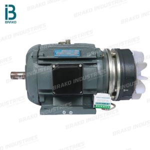 Three Phase Brake Motor