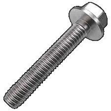 Hex Flange Bolts