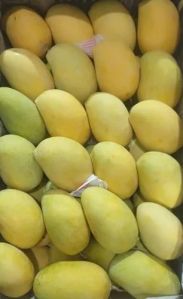 Fresh Langra Mango