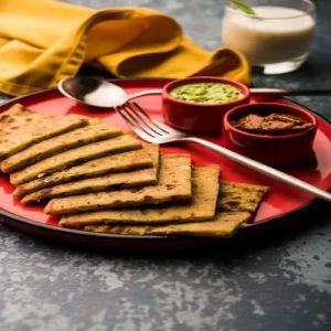 Frozen Mix Veg Paratha