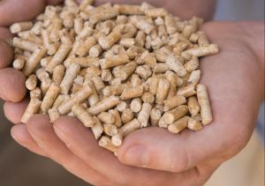 Firewood Biomass Pellets