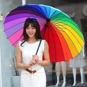 2 Fold Rainbow Colour Umbrella