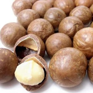 Whole Raw Macadamia Nut Seeds