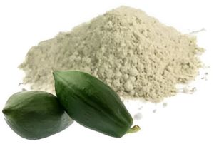 Dehydrated Papaya Powder
