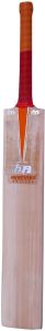 Edition Kashmir Willow Cricket Bat