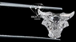 Antique Bull Shape White Colorless Loose Diamond
