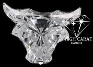 Antique Bull Shape White Colorless Loose Diamond