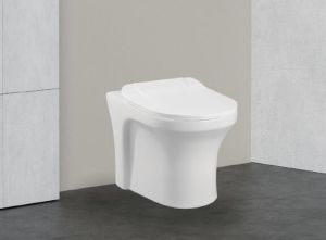 Floor Mount Water Closet