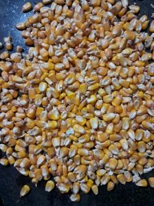 A Grade Yellow Maize