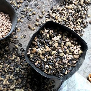 Rejection Cashew Nuts