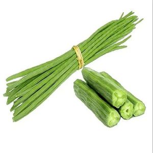 A Grade Fresh Drumstick