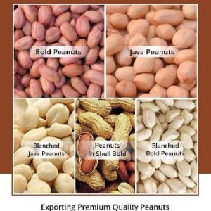 Whole Groundnut Peanut