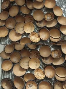 Coconut Shell Mixing Bowl