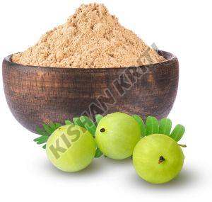 Organic Amla Powder