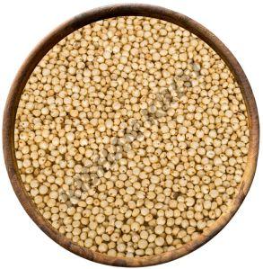 Organic Browntop Millets