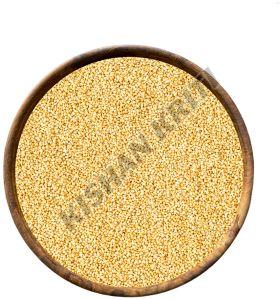 Organic Foxtail Millets