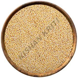 Organic Little Millets