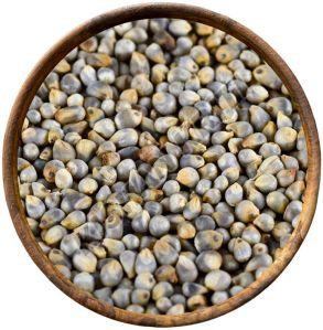 Organic Pearl Millets