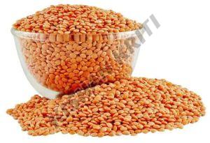 Organic Red Masoor Daal