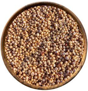 Organic Sorghum Millets