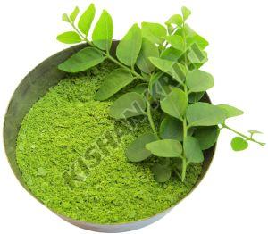 Organic Tulsi Leaf Powder