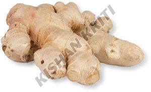 Organic Whole Ginger