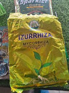 Mycorrhizae