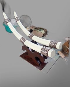 Luxury Interior Decorator