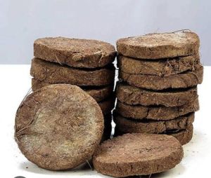 6 Inch Cow Dung Cakes