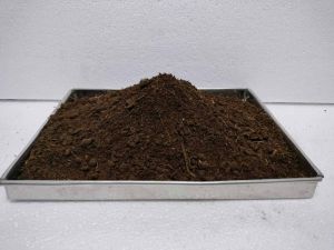 Cow Dung Manure